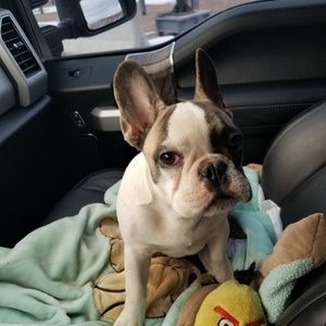 Meet your Posher, Damien